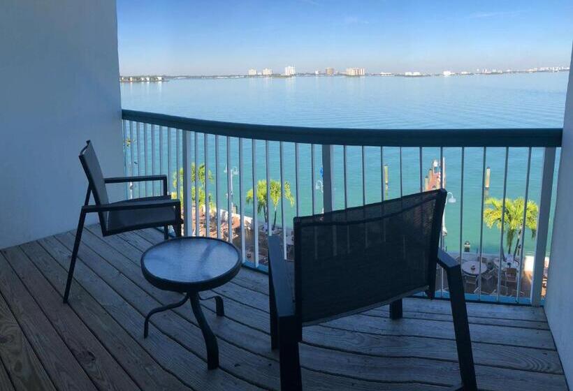 Номер Стандартный с Видом, Palm Tree Club Miami
