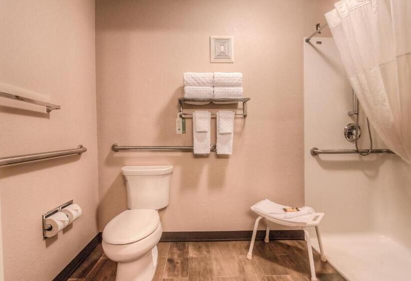 身障者適用キングサイズベッドルーム, Best Western Plus Yakima