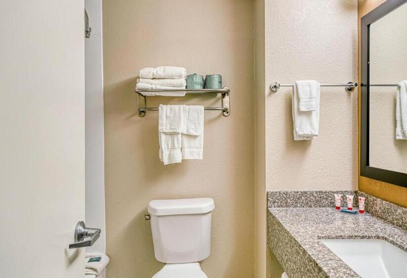Стандартный Номер Кровать Кинг, Trident Inn & Suites New Orleans