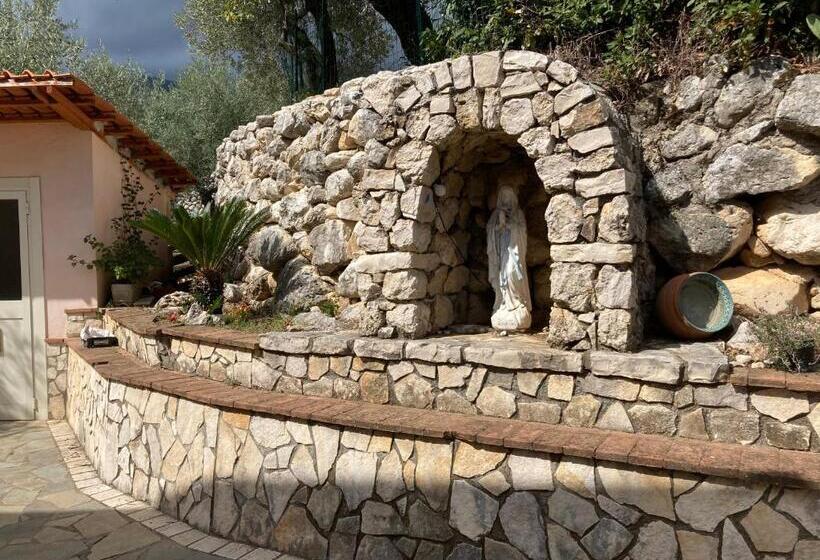 استودیوی استاندارد, L’ulivo