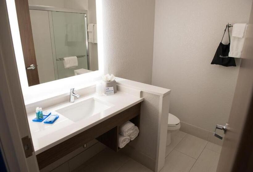 Люкс Кровать Кинг, Holiday Inn Express & Suites   Warsaw   E Center, An Ihg