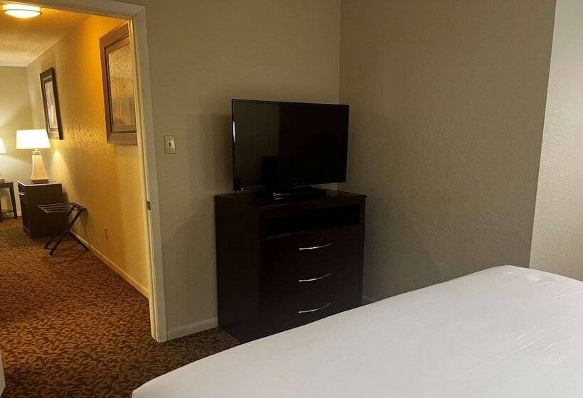 스위트 킹사이즈 침대, Baymont By Wyndham Houston/westchase