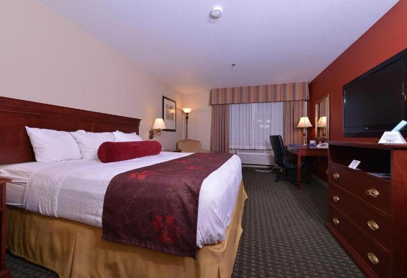 스탠다드 룸 킹사이즈 침대, Best Western Plus Rama Inn