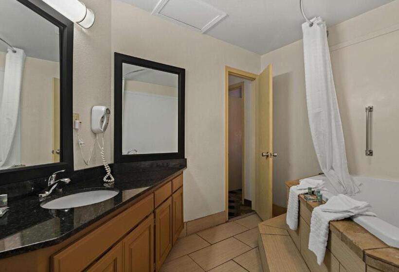 Люкс Кровать Кинг, Best Western Windsor Suites