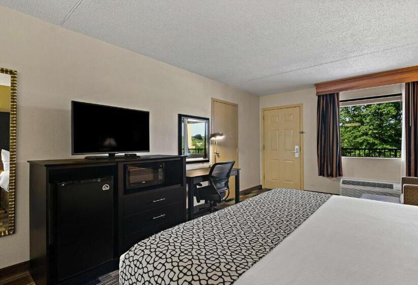 Номер Стандарт Кровать Кинг Адаптированный для Инвалидов, Best Western Windsor Suites