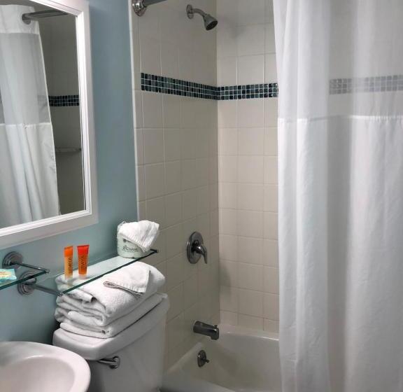 سوییت با چشم‌انداز استخر, Biscayne Family Resort
