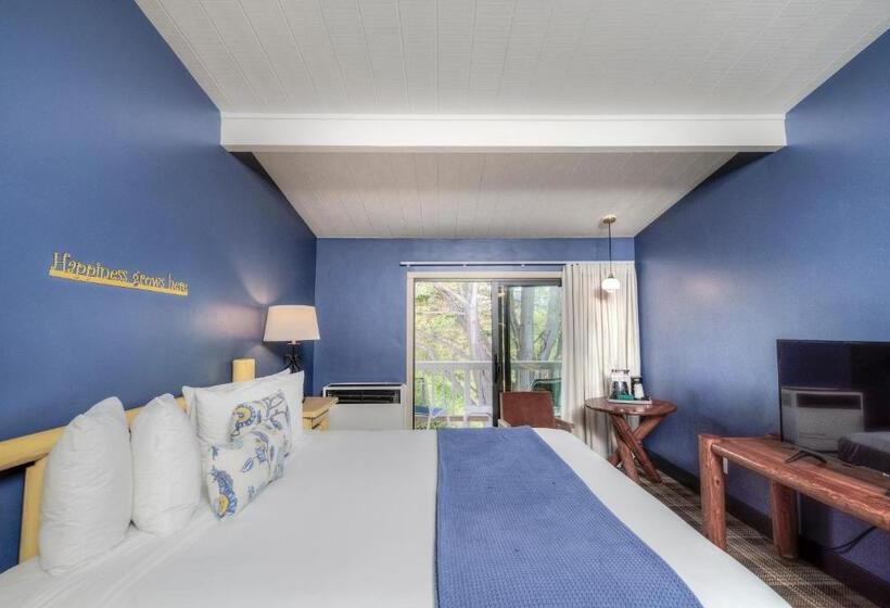 Стандартный Номер Кровать Кинг, Carmel River Inn