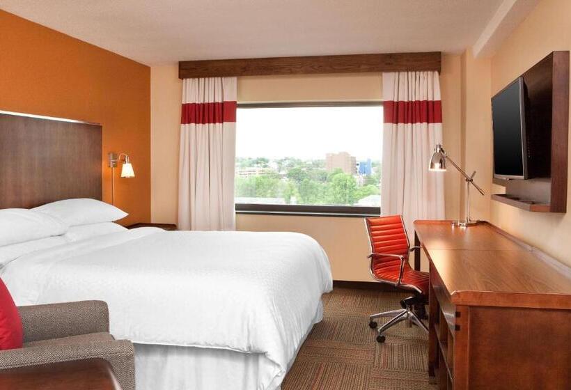 스탠다드 룸 킹사이즈 침대, Anz Hotels Scranton