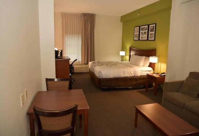 스탠다드 룸 킹사이즈 침대, Sleep Inn & Suites