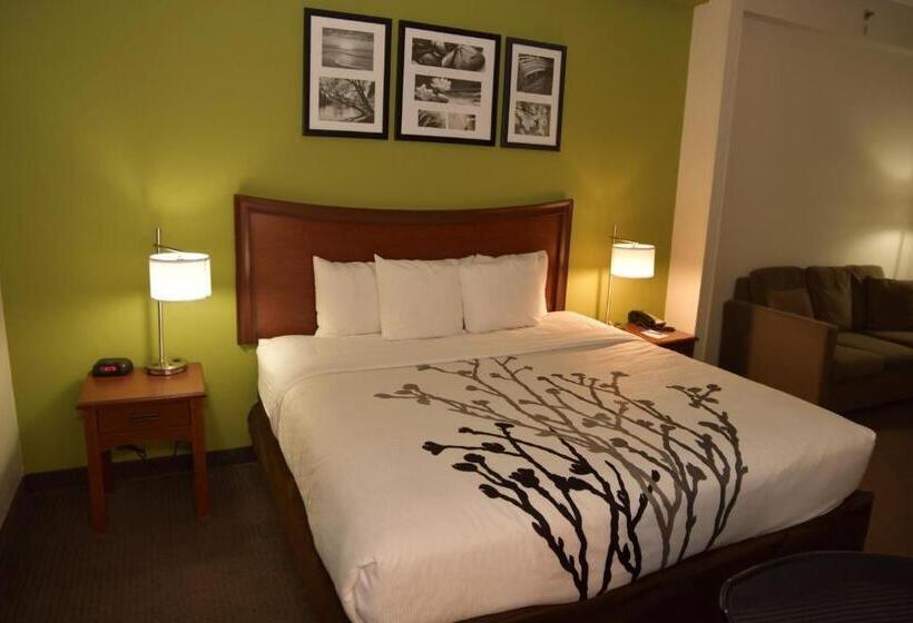 스탠다드 룸 킹사이즈 침대, Sleep Inn & Suites