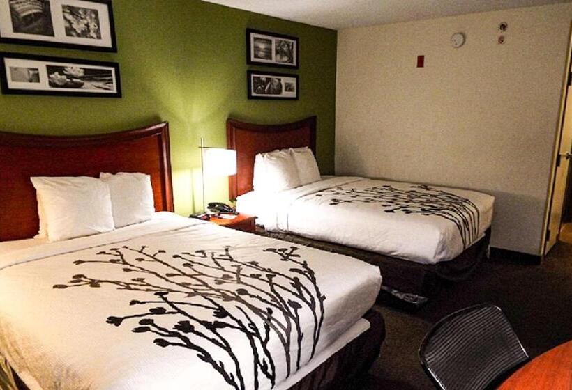 스탠다드 룸 더블 침대 2개, Sleep Inn & Suites