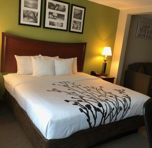 장애인을 위한 킹사이즈 침대 스탠다드 룸, Sleep Inn & Suites