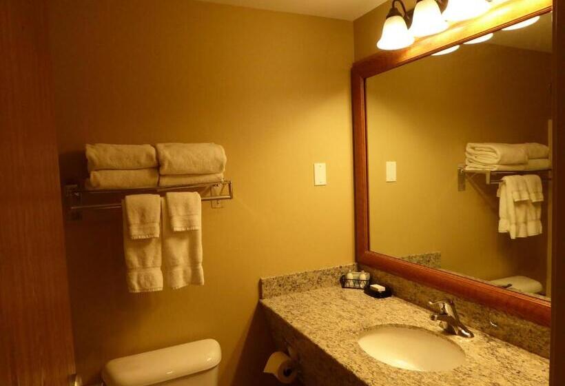 Стандартный Номер Кровать Кинг, Best Western Plus Vintage Valley Inn