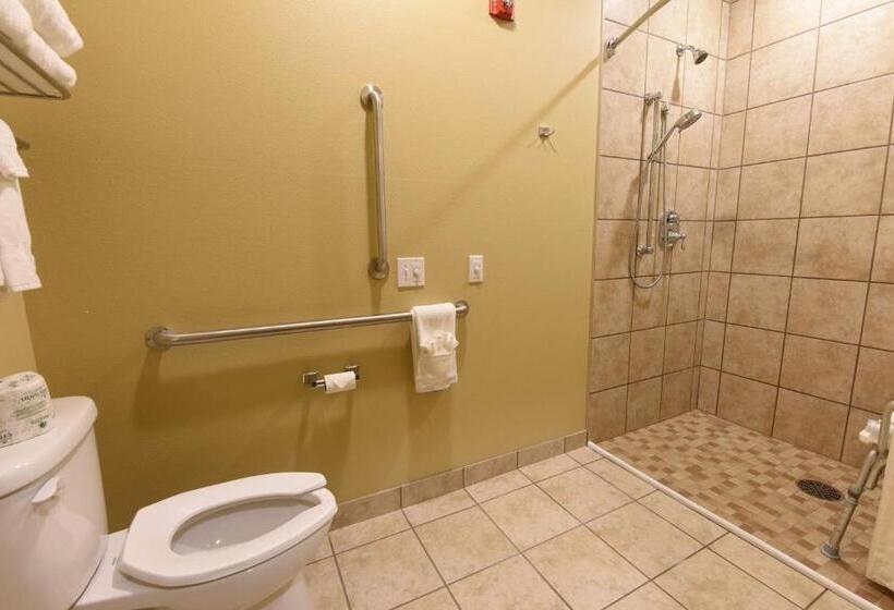Номер Стандарт Кровать Кинг Адаптированный для Инвалидов, Best Western Plus Vintage Valley Inn