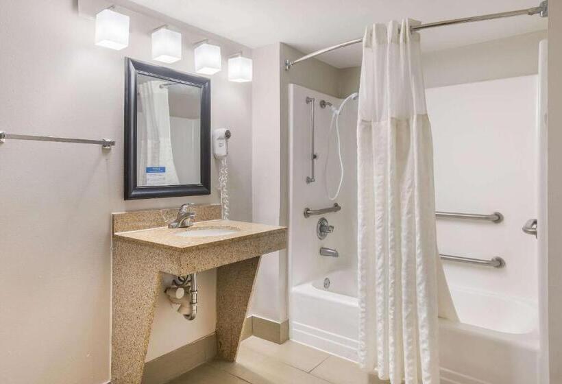 带大床的套房, Clarion Pointe Forsyth I75