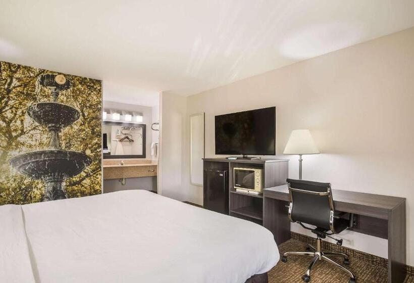 带大床的套房, Clarion Pointe Forsyth I75