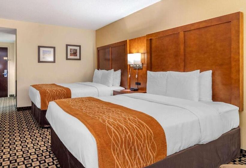 スタンダードルーム, Comfort Inn & Suites