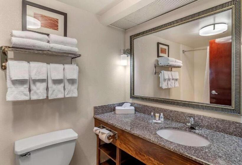 身障者適用キングサイズベッドルーム, Comfort Inn & Suites