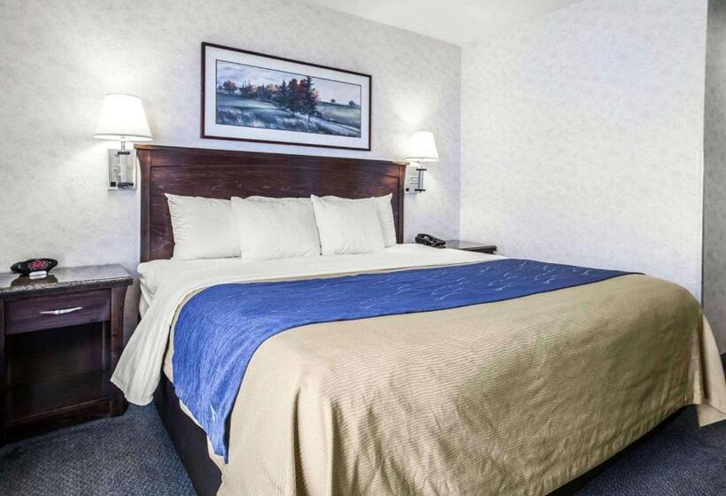 חדר סטנדרט עם מיטת קינג, Comfort Inn Bellingham