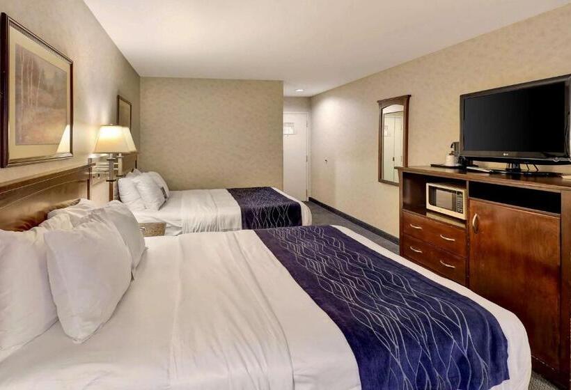 חדר סטנדרט, Comfort Inn Bellingham