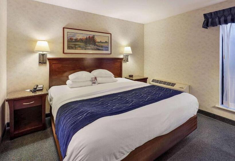 מיטת קינג בסוויטה, Comfort Inn Bellingham