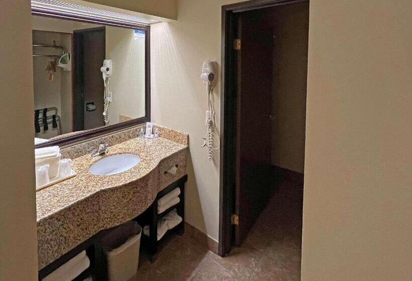 스위트 킹사이즈 침대, Comfort Inn West Phoenix At 27th Ave And I I0