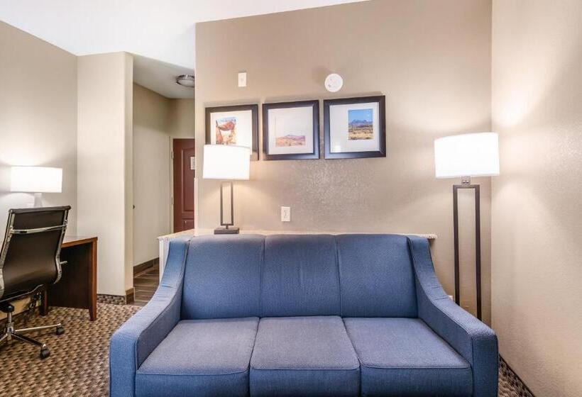 Люкс Кровать Кинг, Comfort Suites Fort Stockton