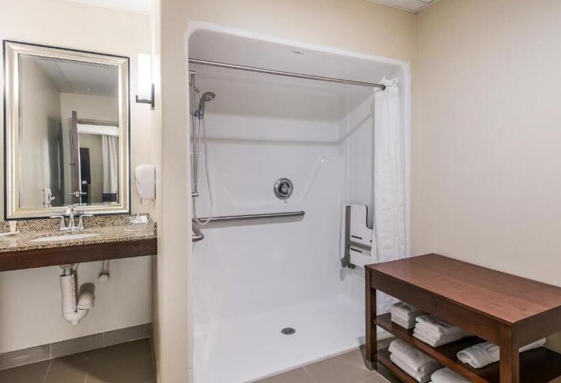 Люкс Адаптированный для Инвалидов, Comfort Suites Fort Stockton