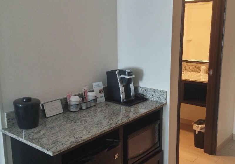 Quarto Estandar Cama King para Deficientes Físicos, Econo Lodge
