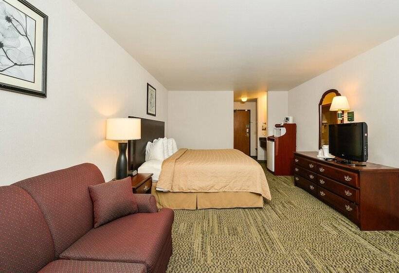 Люкс Адаптированный для Инвалидов, Quality Inn & Suites Stoughton  Madison South