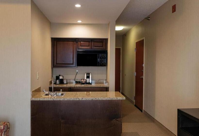 Апартаменты Executive 1 Спальня, Holiday Inn Express & Suites   Olathe North, An Ihg