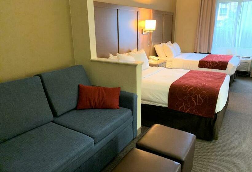 سوییت, Comfort Suites Bush Intercontinental Airport