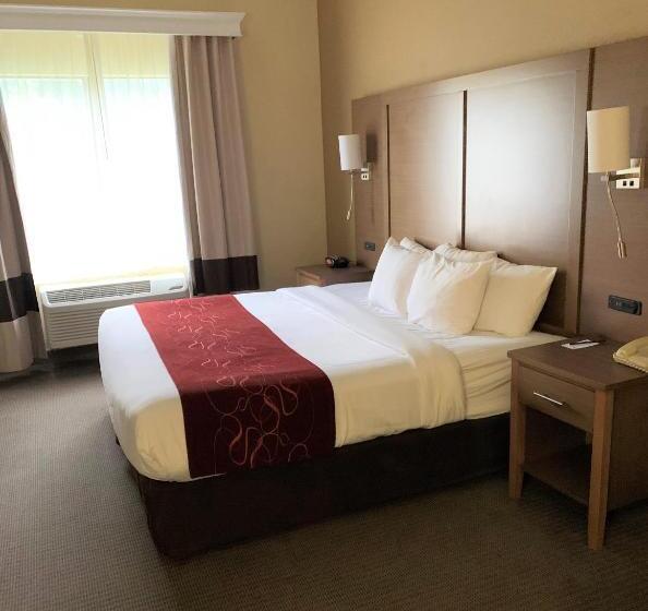سوئیت با تخت بزرگ, Comfort Suites Bush Intercontinental Airport