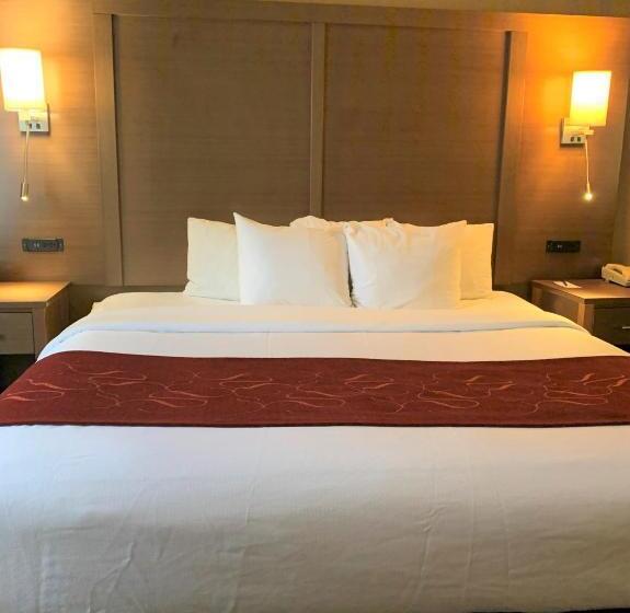 Suite King Bed, Comfort Suites Bush Intercontinental Airport