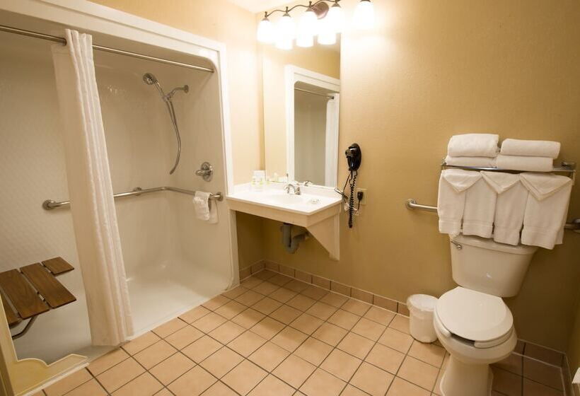 适合残疾人士使用的套间, Country Inn & Suites By Radisson, Fort Worth, Tx