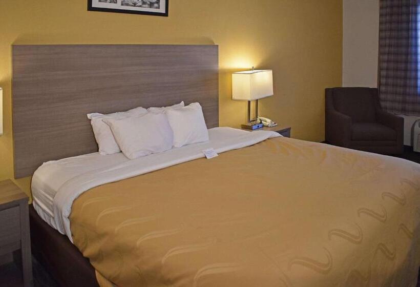 장애인을 위한 킹사이즈 침대 스탠다드 룸, Quality Inn & Suites Kearneysville  Martinsburg