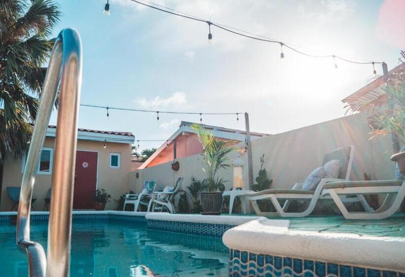 اتاق استاندارد با تخت بزرگ, Courtesy Apartments Aruba