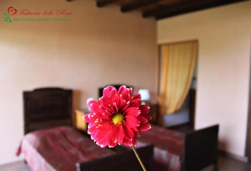 Номер Стандарт, Fattoria Delle Rose