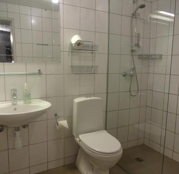 اتاق استاندارد یک تخته با سرویس بهداشتی مشترک, Brekkulækur Guesthouse