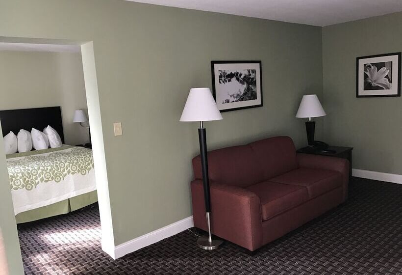 スイート, Days Inn By Wyndham Jellico  Tennessee State Line