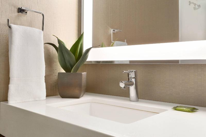 带大床的标准间, Skyline Hotel Detroit Airport, Surestay Collection By Bw