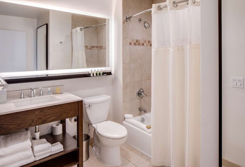 주니어 스위트 킹사이즈 침대, Doubletree By Hilton Hotel & Suites Jersey City
