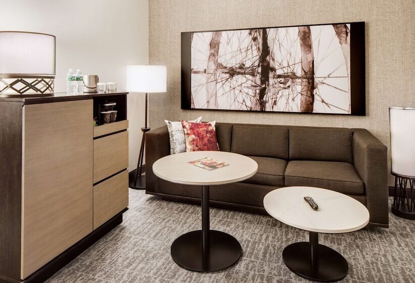 주니어 스위트 킹사이즈 침대, Doubletree By Hilton Hotel & Suites Jersey City