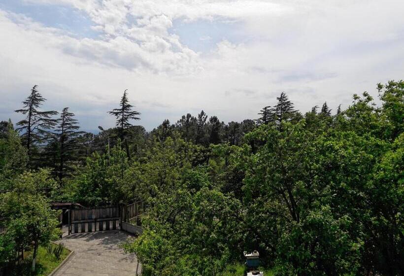 اتاق اکونومی, Sataplia District