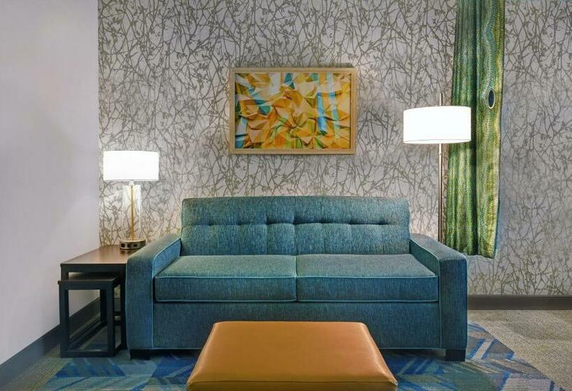 디럭스 스튜디오, Home2 Suites By Hilton Lawrenceville Atlanta Sugarloaf, Ga