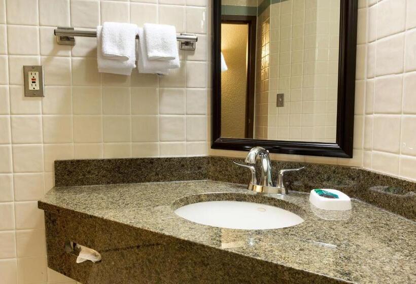 Suite amb Terrassa, Drury Inn & Suites San Antonio Riverwalk