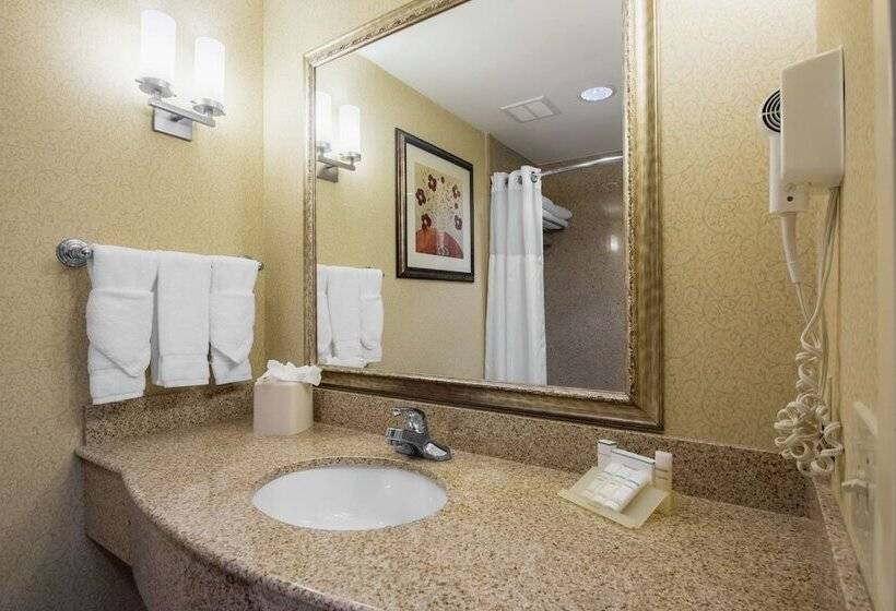 Номер Стандарт, Hilton Garden Inn Meridian