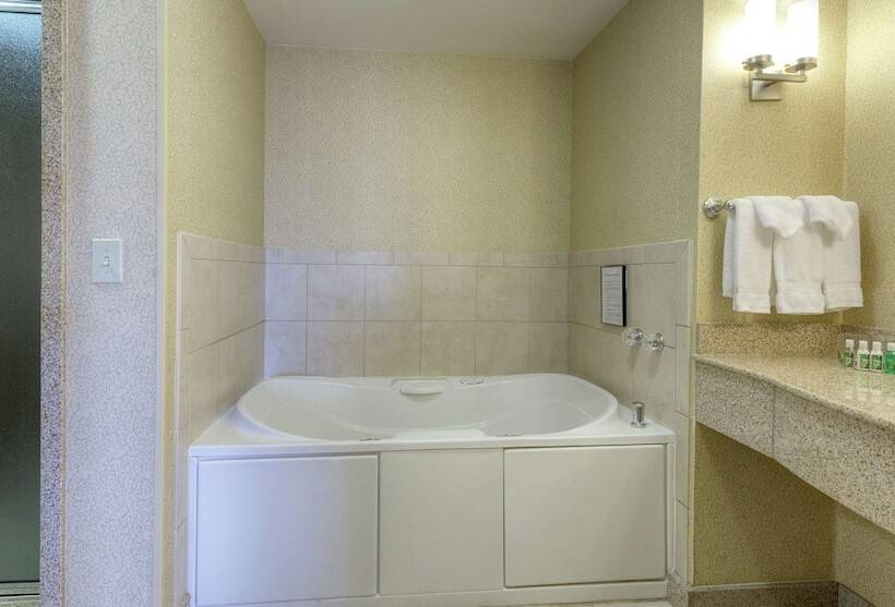 Люкс, Hilton Garden Inn Meridian