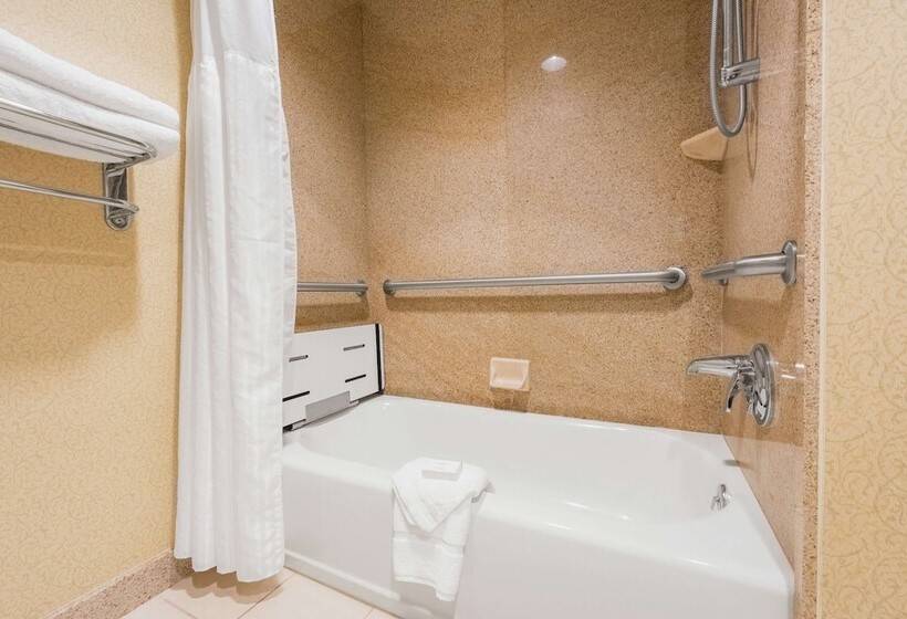 Номер Стандарт Адаптированный для Инвалидов, Hilton Garden Inn Meridian