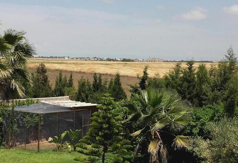 اتاق استاندارد با تخت بزرگ, Riad Tanjil